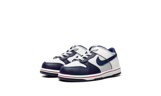 Dunk Low TD "Nets" DC9562 001