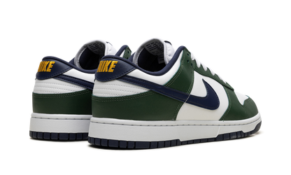 Dunk Low "Fir" FV6911 300