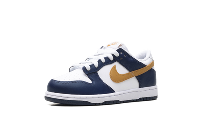 Dunk Low "Navy" FB9108 111