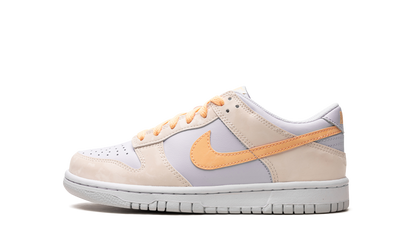 Dunk Low GS "Blue / Yellow" FB9109 100