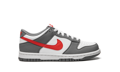 Dunk Low Next Nature GS "Smoke Grey" FB8038 001