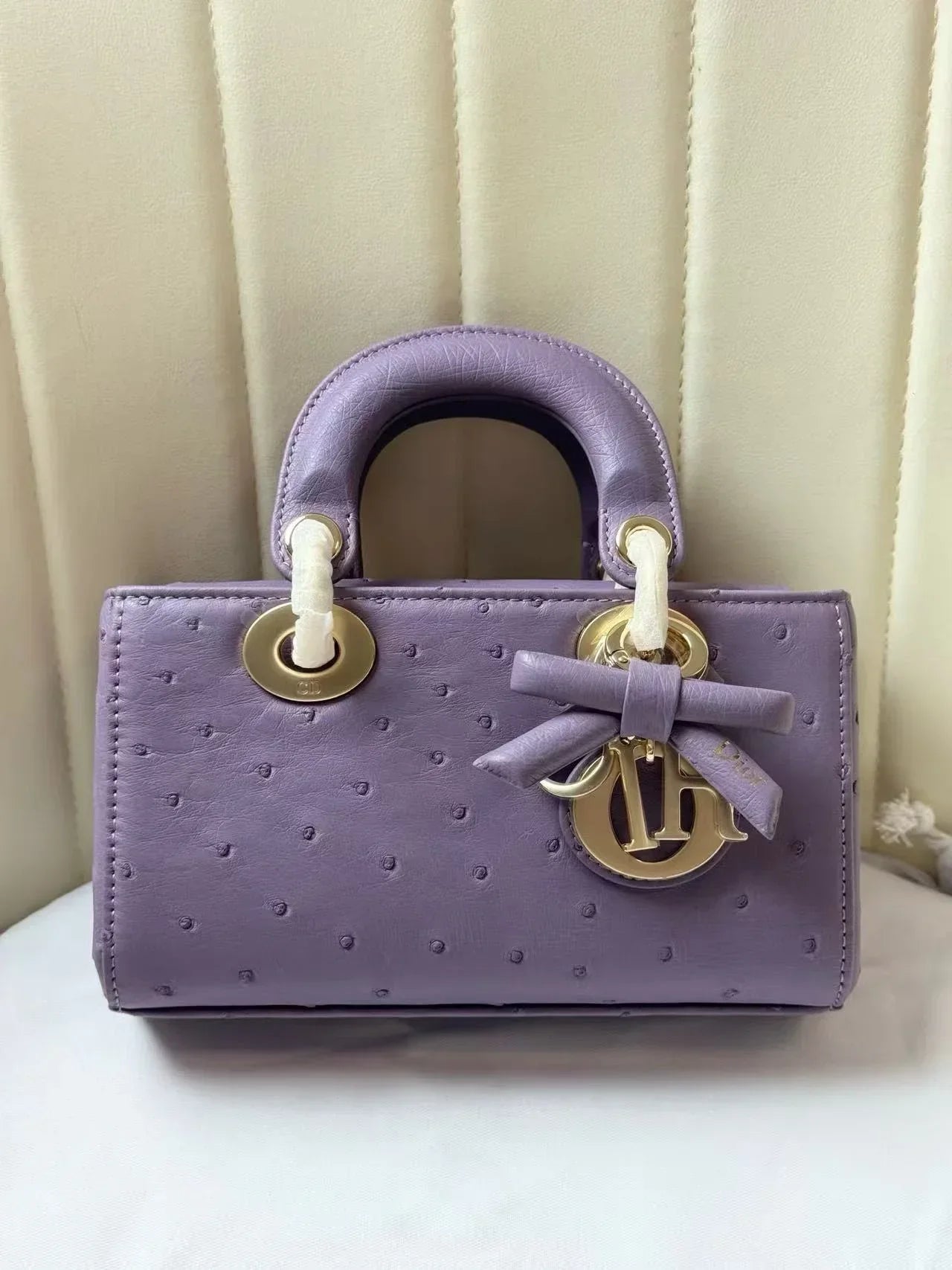 Dior 2026 Lady D-Joy Bag 19cm Ostrich Leather