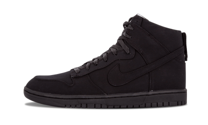 Dunk Lux SP "DSM" 718766 001