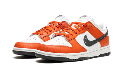 Dunk Low "Night Sky" FV6909 800