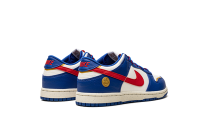 Dunk Low PS NN "Superhero" FD0673 400