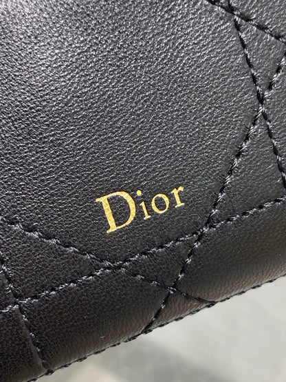 Dior 2026 Trianon Soft Vanity Bag 19cm Multicolor Lambskin 355388