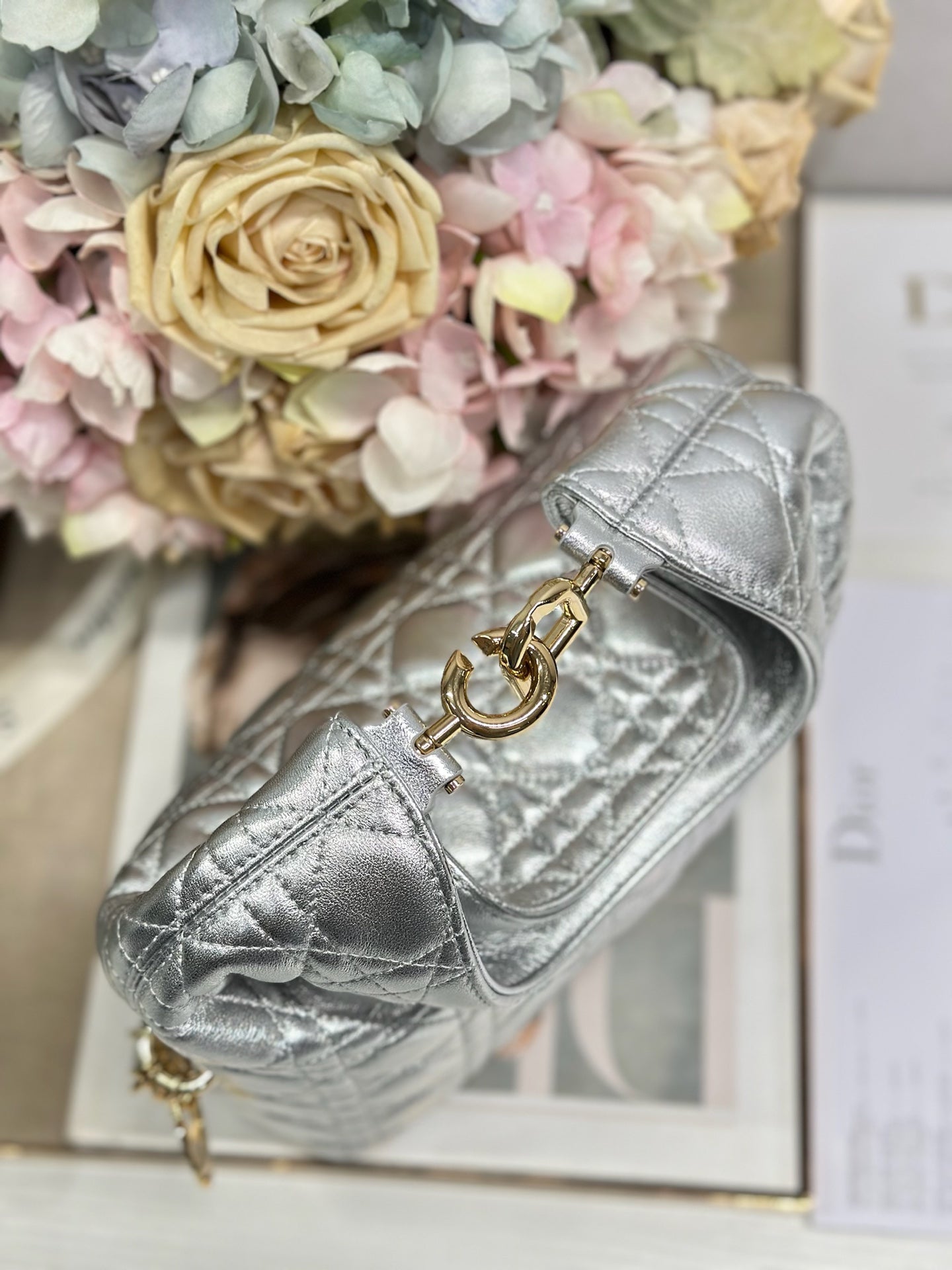 Dior 2026 Toujours Hobo 27cm Lambskin