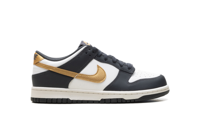 Dunk Low GS "Summit White Metallic Gold" HV2533 100