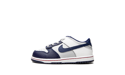 Dunk Low TD "Nets" DC9562 001