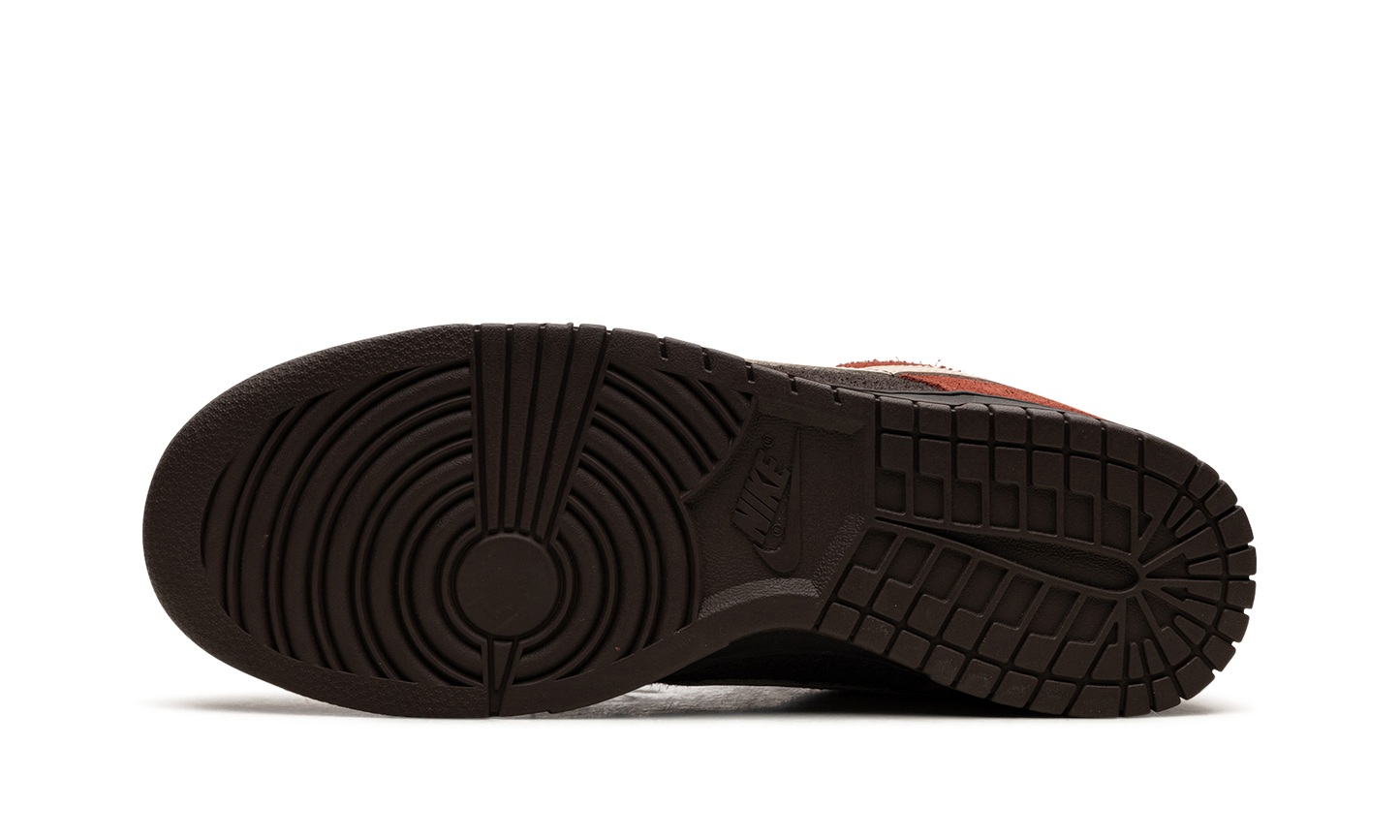 Dunk Low "Red Panda" FV0395 200