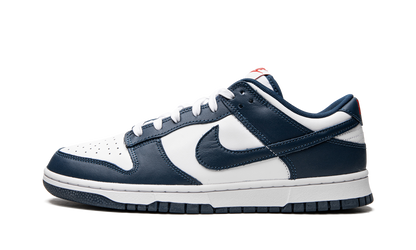 Dunk Low Retro "USA" DD1391 400
