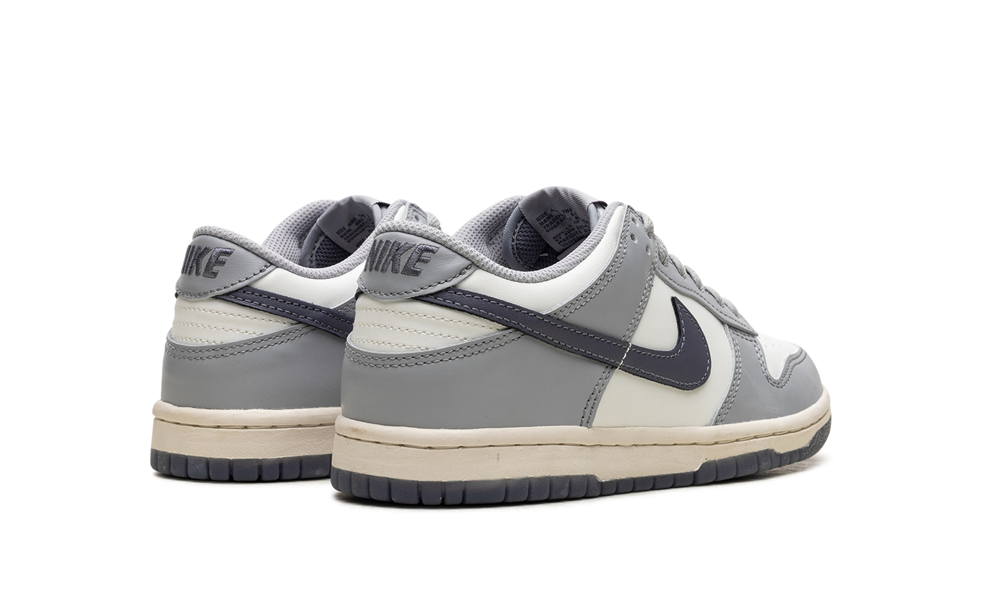 Dunk Low "Light Carbon" FB9109 101