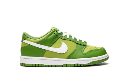 Dunk Low GS "Dark Chlorophyll" DH9765 301