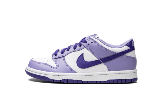 Dunk Low GS "Blueberry" DZ4456 100
