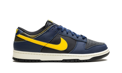 Dunk Low Vintage "Michigan" FZ4014 010
