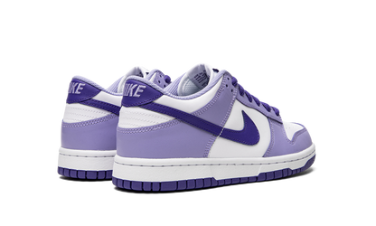Dunk Low GS "Blueberry" DZ4456 100