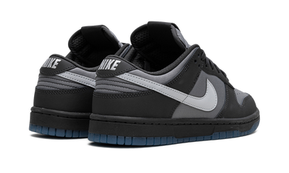 Dunk Low "Anthracite" FV0384 001